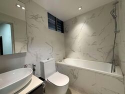 Clementi Park (D21), Condominium #575921761